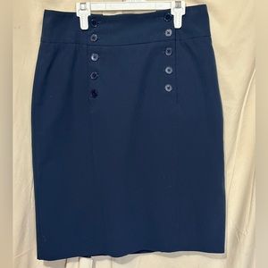 Dress Barn skirt